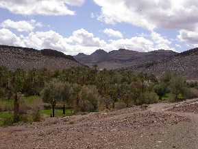 Oasis de Ihandar, cerca de Tinejdad, en el Jebel Ougnat.
