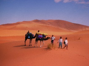 Dunes de l'Erg Chebbi, près de Merzouga, désert du Maroc.