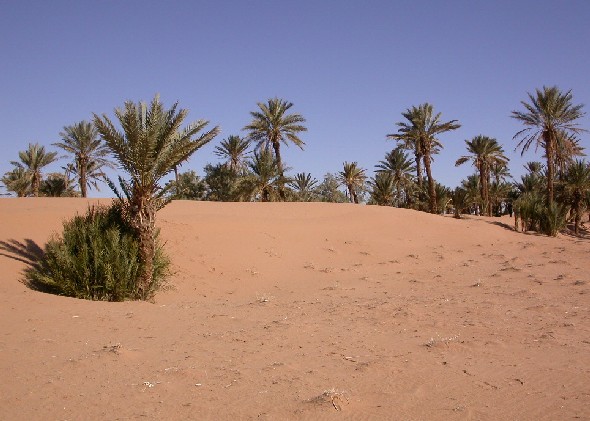 Desert dunes near Tinejdad in South Morocco.