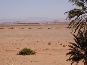 Fogara a l'oasi de Ferkla, Tinejdad; sud del Marroc.