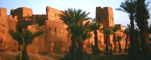 Ksar Gardemit en el oasis de Ferkla, Tinejdad.