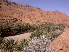 Igoudamène palm grove in Moroccan High Atlas.