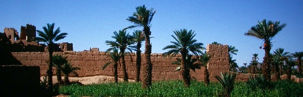 Muralla del ksar Tighadouine, oasi de Ferkla.