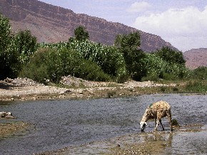 Gheris river near Amellaghou, in High Atlas of Morocco.