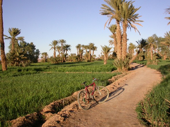 Vélo sur la piste entre Asrir et Talalt, palmeraie de Ferkla.