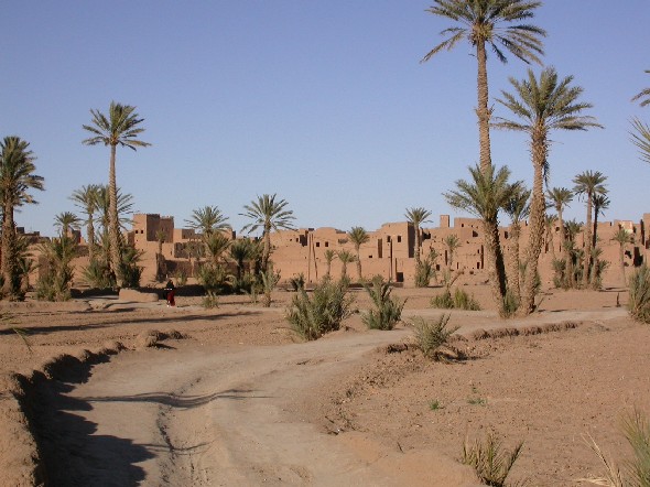 Ksar Asrir dans l’oasis de Ferkla, sud du Maroc.