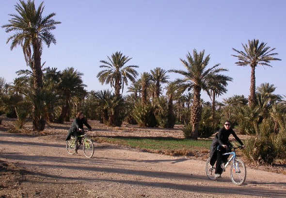 Excursion en vélo par la palmeraie de Ferkla, Maroc.