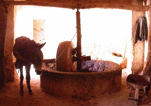Moulin à huile dans la vallée du Todra, Maroc.