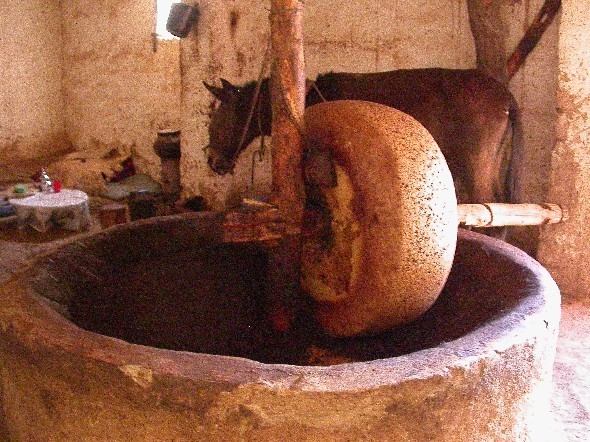 Moulin à huile dans la vallée du todra, sud du Maroc.