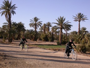 Bike circuit in Ferkla oasis, Tinejdad, south Morocco.