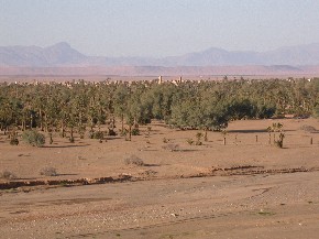 View over Ferkla Oasis from Tassabelbalt hill, near El Khorbat.