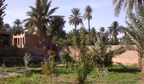Jardin du Gîte El Khorbat dans la vallée du Todra, Maroc.
