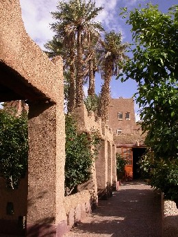 Garden of Guesthouse El Khorbat, in Tinghir region.